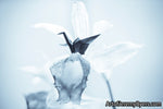 Blue orchid - floral photography