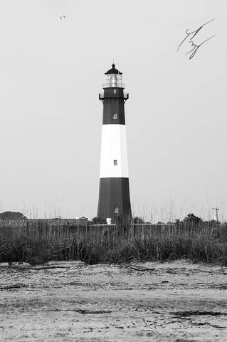 Tybee Lighthouse of Grandeur limited edition fine art print signed and numbered