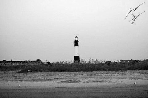 Tybee Island Lighthouse limited edition fine art print signed and numbered