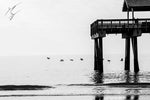 Tybee Island Pier limited edition fine art print signed and numbered