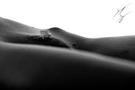 fine art nude model bodyscape macro