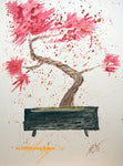 Red Bonsai original watercolor
